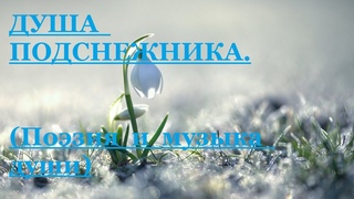 Душа Подснежника. Автор стихотворения и видео А. Соколов.