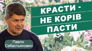 ПДВ і Гетманцев: схеми крадіжок, відшкодування бюджету та податкова розверстка
