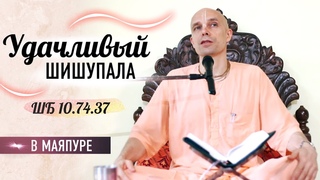 2024-08-29  Удачливыи Шишупала ШБ  в Маяпуре