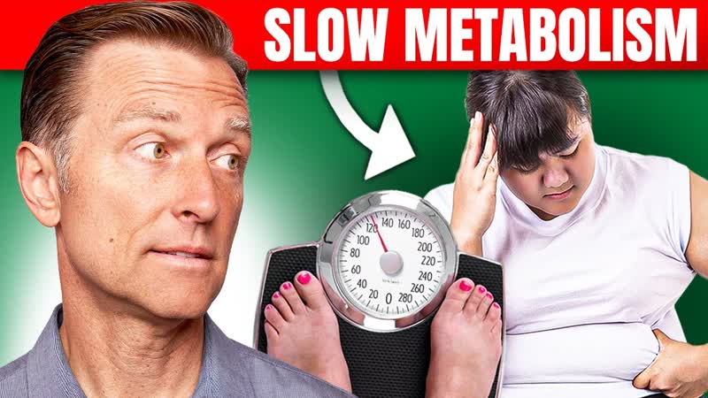 The Best Way to Fix a Slow Metabolism Dr. Bergs Expert