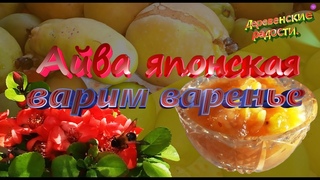 Айва японская Варим варенье  Деревенские радости