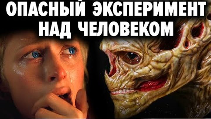 Вред сахара для организма человека. ЧЕЛОВЕК БЫСТРОГО