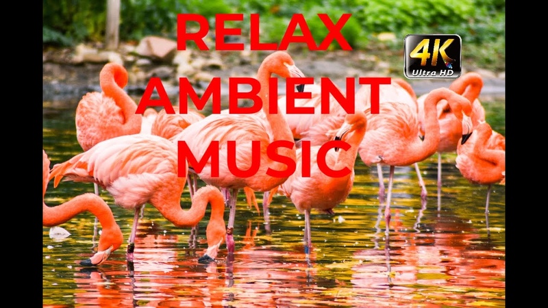 MUSIC FOR MEDITATION, RELAX MUSIC FOR SLEEP, SPA, LOVE, ROMANTIC. MASAGE MUSIC YOGA
