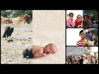 Uğur Gallenkuş: Artist juxtaposes two different worlds in one photo collage