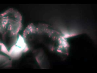 Alec Empire “on fire“