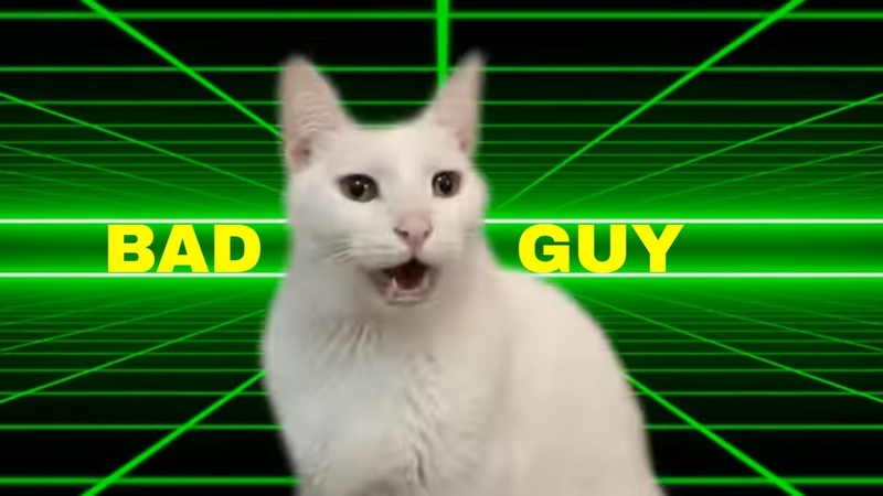 Billie Eilish Bad Guy Cats
