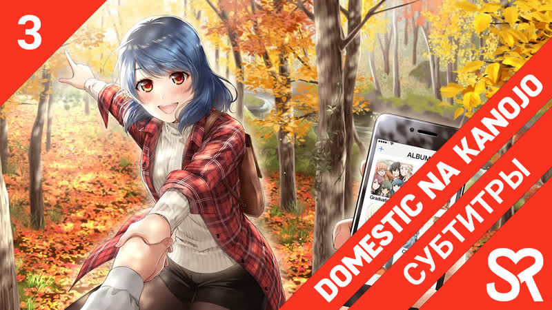 субтитры, 3 серия Domestic na Kanojo, Домекано, by Kuro Kaze Yamada, Sovet