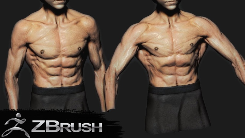 Torso sculpting timelapse