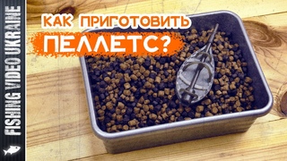 КАК ПОДГОТОВИТЬ ПЕЛЛЕТС ДЛЯ РЫБАЛКИ, ЧТОБ ОН НЕ РАЗМОК И НЕ СТАЛ КАШЕЙ | FishingVideoUkraine (4K)