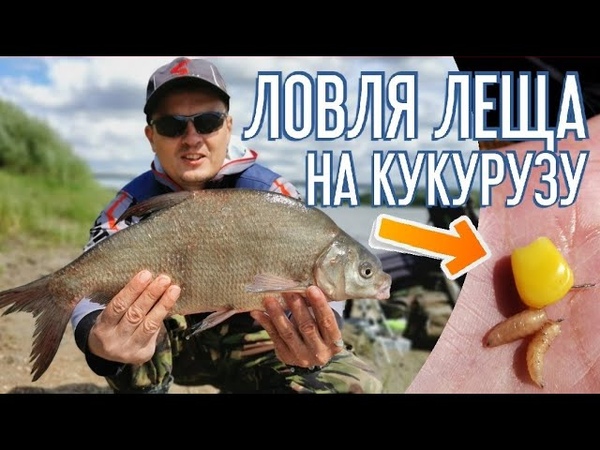 Ловля леща на кукурузу. Рыбалка 2021. Фидер на сильном