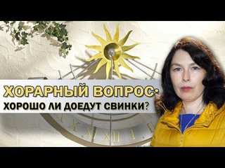 Хорошо ли доедут свинки // Наталия Гришина // Школа Хорарной Астрологии Юлии Береговой