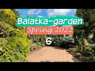 BALATKA GARDEN 6