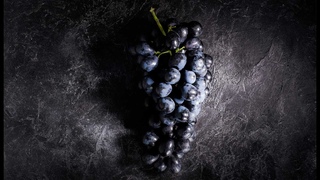 Классика Испании Темпранильо Tempranillo чистокровный испанец