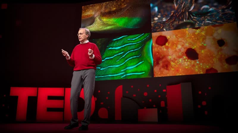 The amazing brains and morphing skin of octopuses and other cephalopods, Roger