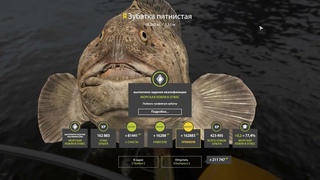 УХ ТЫ, Зубатка в пятнышках НЕ ВЫХОДЯ ИЗ БУХТЫ (трофей) Russian Fishing 4 2023 09 19