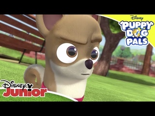 Κουταβοφιλαράκια | Κάνοντας Φίλους 🤝 | Disney Junior Ελλάδα