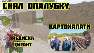 Опилкобетон (арболит)130 Строим Дом.  сажаем картоху, снимаю опалубку, бегом в баню
