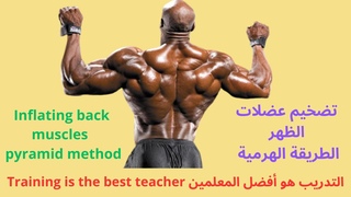 تمارين تضخيم عضلات الظهر بـ 5 تمارين فقط - الطريقة الهرمية