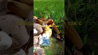 Обеденный перерыв так то сейчас...