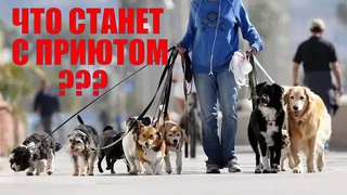Что станет с приютом