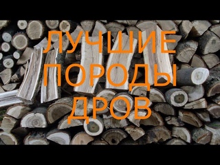 Какие дрова лучше для печи