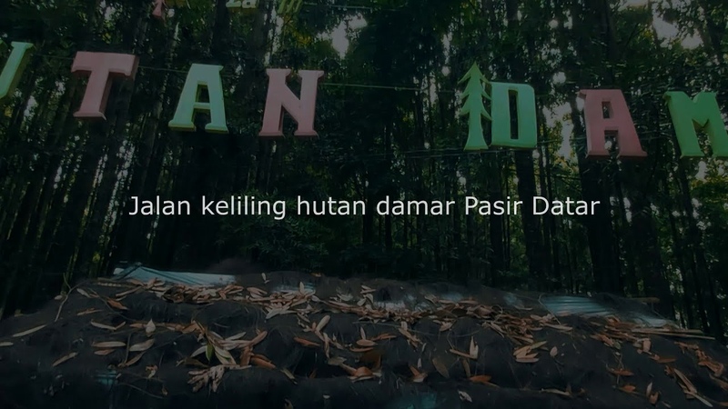 Jalan di Hutan Damar Pasir Datar, differentprespective, virtualwalk, virtualtreadmill,