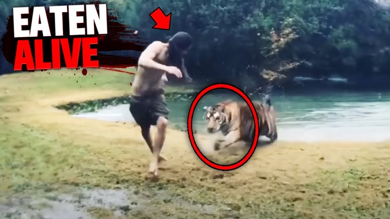 These 3 People RAN AWAY From Deadly Predators Were RIPPED