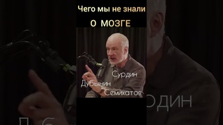 #дубынин  #сурдин #семихатов #мозг #нейронныесвязи