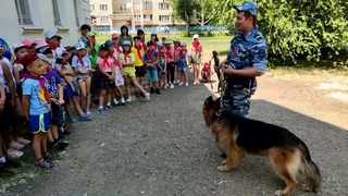 В Кувандыке полицейский-кинолог познакомил воспитанников детского лагеря со служебной собакой