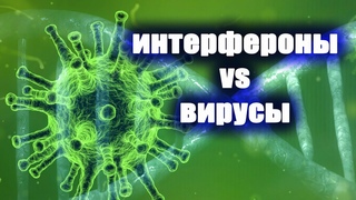 Интерфероны. Механизм противовирусного действия. Лечение COVID-19
