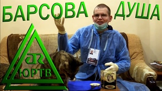 ЮРТВ 2015: Барсова душа. Реклама и новости ДРК ЮРТВ. №096