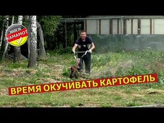Самодельный окучник на базе культиватора Shtenli в работе | Окучивание картошки в самом разгаре