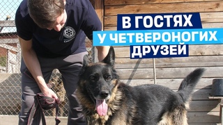 Артем Михеев посетил приют для бездомных животных