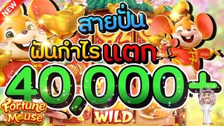 สล็อต สล็อตpg สล็อตพีจี Fortune Mouse  สายปั่น