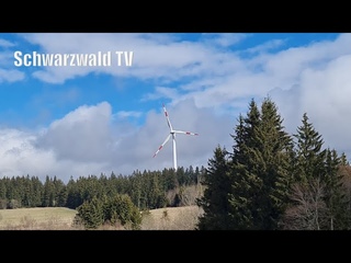 Eilmeldung: Windrder sind doch nicht so umweltfreundlich wie man gesagt bekommt!