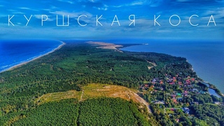 Куршская коса | Калининградская область