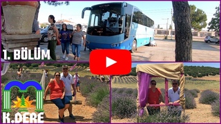 Lavanta Baheleri Gezi Turu 1.Blm | Lavanta Kokulu Ky Kuyucak (Gidi) | Lavender Gardens
