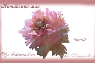 Мак махровый пионовидный.Часть2.Ольга Канунникова