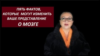 ПЯТЬ ФАКТОВ, КОТОРЫЕ ИЗМЕНЯТ ВАШЕ ПРЕДСТАВЛЕНИЕ О МОЗГЕ № 2998