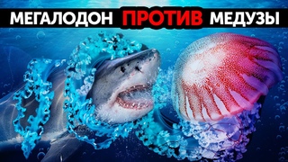 Более 20 фактов о глубоководных существах пострашнее мегалодона