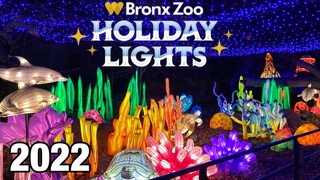 NYC LIVE Bronx Zoo Holiday Lights 2022  (November 18, 2022)