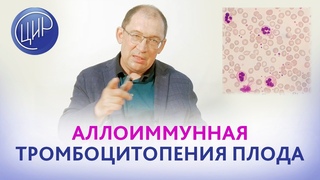 Аллоиммунная тромбоцитопения плода. Система HPA. Группы крови тромбоцитов. Анонс лекции для врачей.
