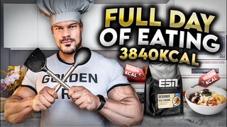 Full Day of Eating (Olympia Prep Edition)