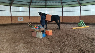 Кёклин Fitness Agility, октябрь24.