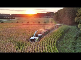Mais Silage 2022 | Claas Jaguar 850 + Fendt + John Deere | Schimmel Overberg