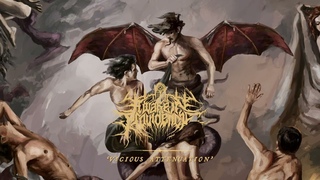 A Wake in Providence - Vicious Attenuation