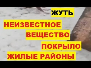 Жуть. Неизвестное вещество покрыло жилые районы. Проникает в дома Нечто. Странная пена в Доминикане