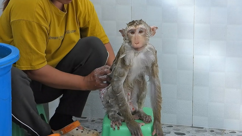 Smart Girl Luna Taking Bath On Small Chair