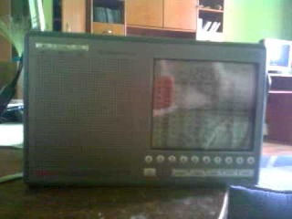 12095 kHz Russian Number Station