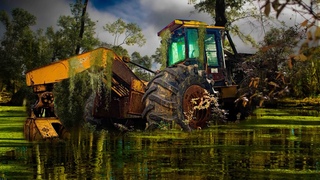 SKIDDER LEFT IN WOODS FOR YEARS! What we find is UNBELIEVABLE!